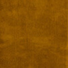 Spiced Velvet Tumeric